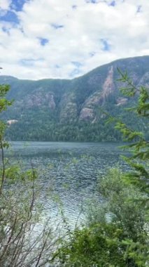 Huge deep and very cold river on Vancouver Island near high mountains Fog and gray sky beauty in nature Landmark of Canada. High quality FullHD footage