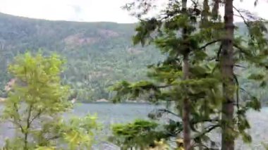 Huge deep and very cold river on Vancouver Island near high mountains Fog and gray sky beauty in nature Landmark of Canada. High quality FullHD footage
