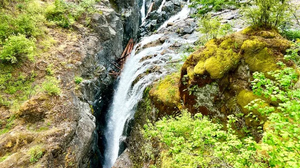 Waterfall Englishman River Falls Provincial Park Vancouver Island British Columbia — Stock fotografie