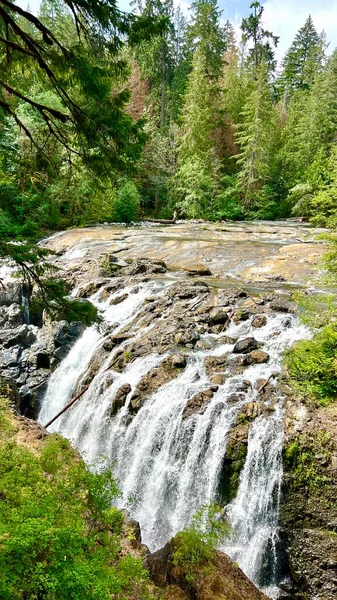 Beautiful View Upper Fall Englishman River Surrounded Mossy Rocks Lush —  Fotos de Stock