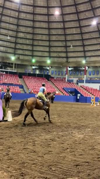 Horses Great Circus Field Hippodrome Presentation Horses People Galloping Horses — Stok Video