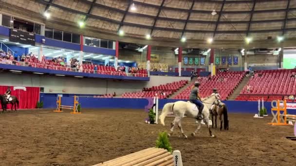 Horses Great Circus Field Hippodrome Presentation Horses People Galloping Horses — Stock video