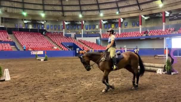 Agodom Horses Great Circus Field Hippodrome Presentation Horses People Galloping – Stock-video