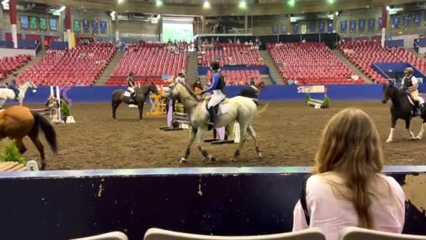 Girl White Shirt Hippodrome Looks Horses Horses Stage Large Dome — Stock videók