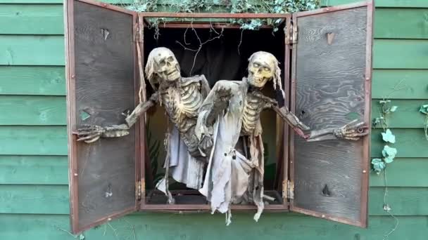 Room Fear Two Skeletons Open Window Look Out Street Attracts — Stockvideo