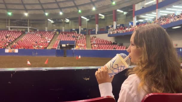 Girl White Shirt Hippodrome Looks Horses Horses Stage Large Dome — Video