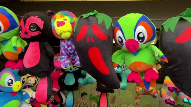 Bright Big Toys Hang Row Amusement Park Raccoon Dog Parrot — Vídeos de Stock
