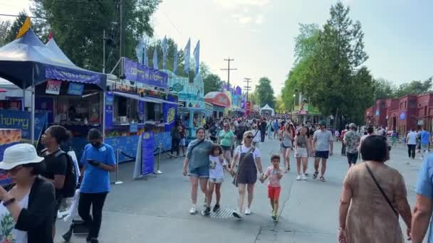Weekend Family Walks Amusement Park People Many Food Courts Swing — Video