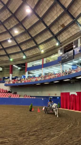 Pacific Spirit Horse Show Pne Showcasing Various Equestrian Disciplines Pacific — Stock video