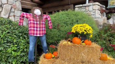 Kırmızı ekose gömlekli bir korkuluk kafasında saman saçlarıyla ayakta duruyor. Kamera yavaşça üzerine saman ve balkabağı sürüyor. Cadılar Bayramı için hazırlanıyor ve bu da mağazada kutlanıyor..