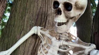 Bir insan iskeleti ağaçta oturuyor, ve yanında bir kuş iskeleti, bir akbaba, kamera yavaşça süzülüyor, Cadılar Bayramı için Cadılar Bayramı için arka plan videosu çekiyor.