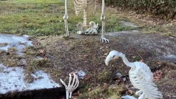 Skelettet Sitter Graven Och Tittar Den Utsträckta Handen Från Marken — Stockvideo