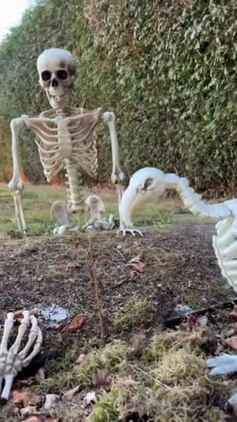 Skeleton Sits Grave Looks Outstretched Hand Ground Next Sits Skeleton — Stock Video