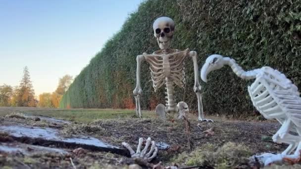 Skeleton Sits Grave Looks Outstretched Hand Ground Next Sits Skeleton — Stock Video