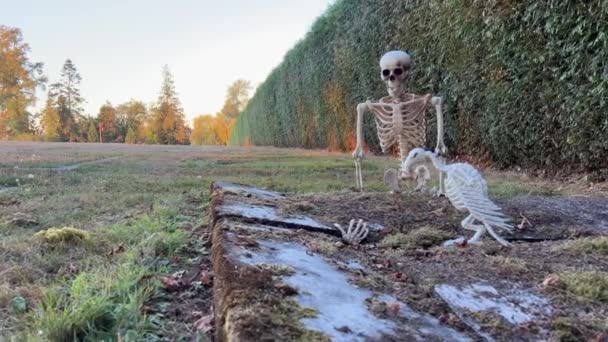 Σκελετός Κάθεται Στον Τάφο Και Κοιτάζει Απλωμένο Χέρι Από Έδαφος — Αρχείο Βίντεο