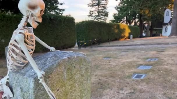 Skelettet Står Nära Gravstenen Och Håller Fast Vid Den Ser — Stockvideo