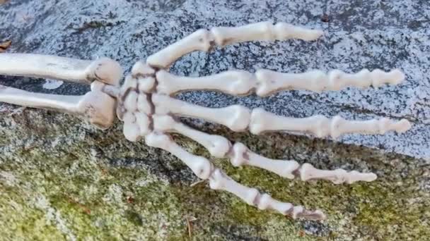 Squelette Main Sur Pierre Tombale Dans Cimetière Halloween Effrayant Choses — Video