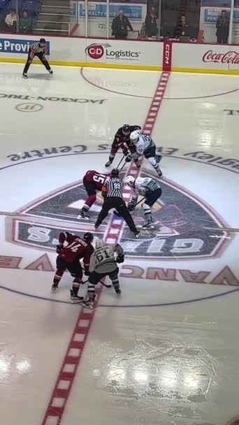 Start Play Referee Drops Puck Two Teams Usa Canada Battle — Stock Video