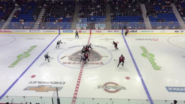 Start Play Referee Drops Puck Two Teams Usa Canada Battle — Αρχείο Βίντεο