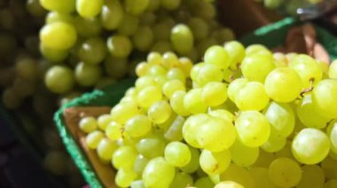 Granville Adası 'ndaki büyük bir mağazanın tezgahında kocaman üzüm yığınları var. Kırmızı üzümler çok iştah açıcı ve sağlıklı. Lezzetli yiyecekler için doğal ürünler.