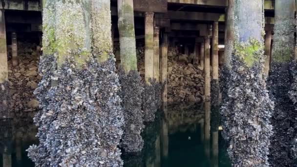 Halbinsel Granville Island Und Einkaufsviertel Fairview District Von Vancouver Gegenüber — Stockvideo