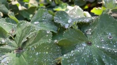 Granville Adası yarımadası ve Vancouver BC Fairview bölgesinde alışveriş bölgesi. Vancouver 'ın karşısından Vancouver şehir merkezinden Granville Caddesi Köprüsü' nün güney ucunda 09.2022 Kanada.