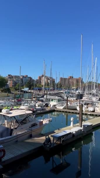 Granville Island Peninsula Shopping District Fairview District Vancouver False Creek — Vídeos de Stock