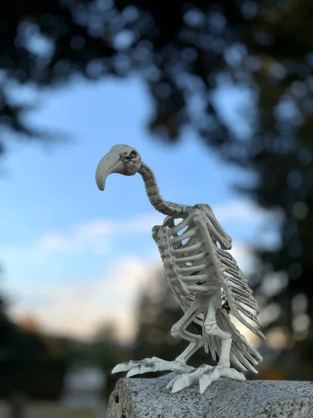 Skeleton Vulture Bird Sits Background Sky Cemetery Trees Halloween Full — Stock Photo, Image
