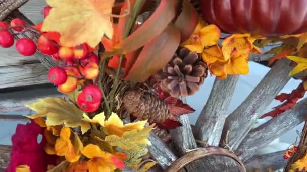 Une Roue Qui Des Feuilles Jaune Orange Rouge Bosse Aussi — Video