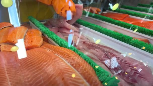 Différents Poissons Trouve Sur Fenêtre Très Beau Clairement Coupé Homme — Video