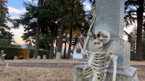 Human Skeleton Sits Leaning Tombstone Bird Skeleton Sits Top Halloween — Stock Video