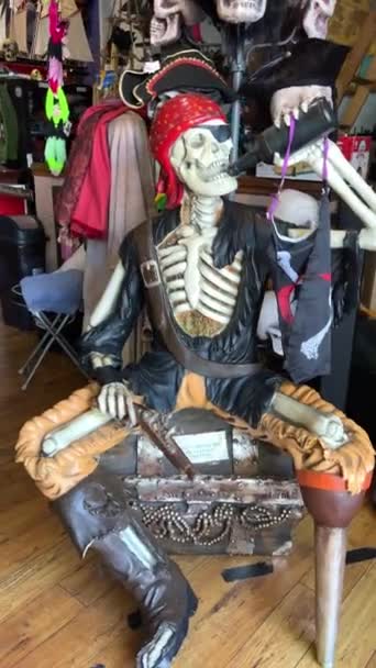 Pirate Skeleton Caribbeans One Legged Skeleton Sits Hat Drinks Bottle — Stock Video