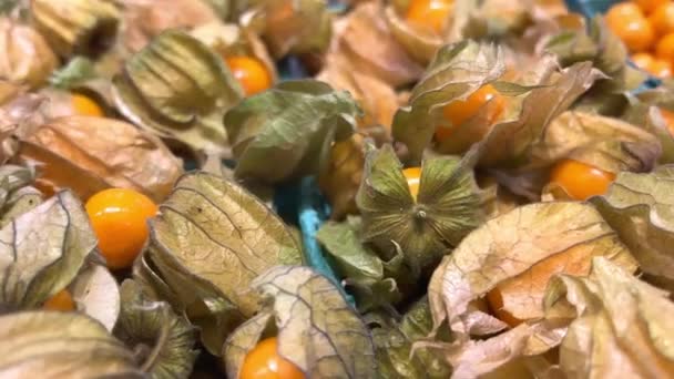 植物沙司 有时被称为翡翠浆果或土蓝莓 秘鲁山莓 泡泡糖 白砂糖樱桃 马龙卡 草莓番茄 你可能用来装饰糖果 — 图库视频影像