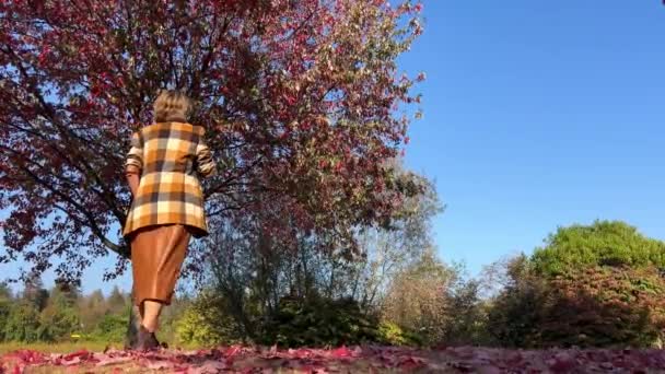 Stanley Park Yetişkin Bir Kadın Kameradan Uzaklaşıyor Yaprakların Düştüğü Ağaca — Stok video