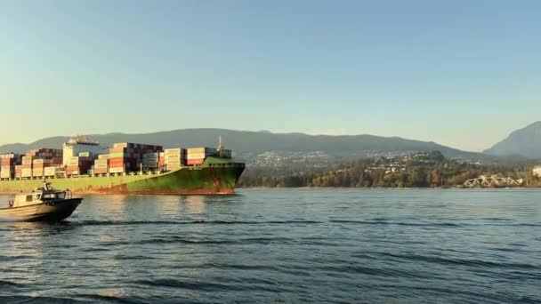 Cargo Ship Sails Bridge Carries Cargo Maersk Hamburg Stanley Park — Stock Video