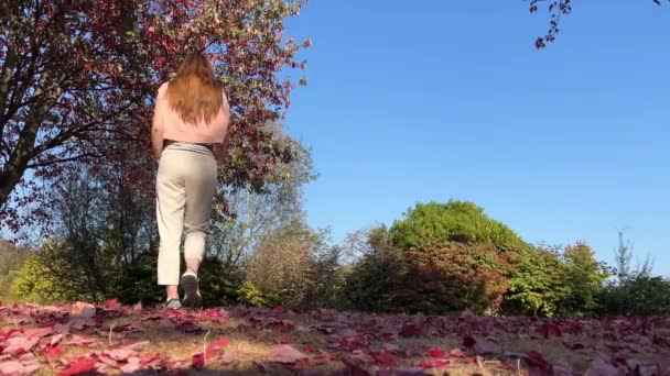Tam Hodně Prostoru Pro Text Podzim Příroda Cestování Stanley Park — Stock video