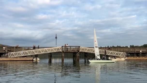 Sailboat Background Bridge Quiet Water Blue Sky Port Moody Esplanade — Stock Video