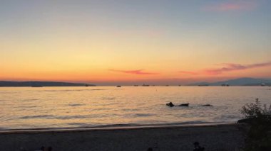 Güzel, berrak, büyük gün doğumu, gün batımı, martılar suda oturur ve uçar. Ufkun üzerindeki denizin yansımasında büyük, sıcak bir güneş. Yüksek kalite 4k görüntü