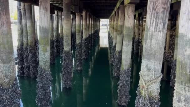 Halbinsel Granville Island Und Einkaufsviertel Fairview District Von Vancouver Gegenüber — Stockvideo