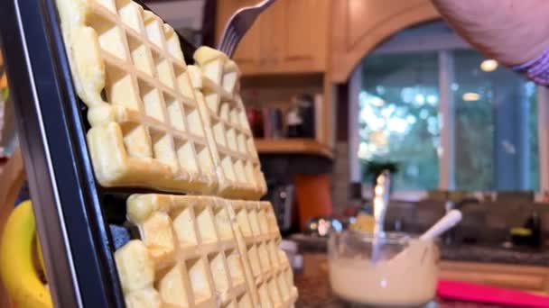 Cooking Waffle Pancakes Waffle Molds Put Liquid Dough Waffle Iron — Stock Video