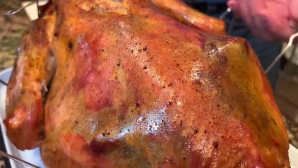 Thanksgiving Grillad Kalkon Tas Ugnen Läggs Gyllene Krispig Hud Fågel — Stockvideo