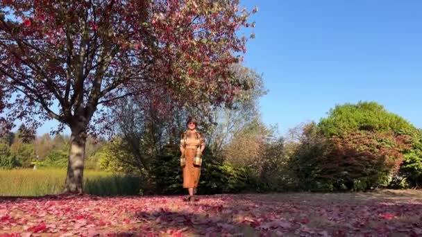 Stanley Park Una Mujer Adulta Aleja Cámara Hacia Árbol Del — Vídeos de Stock