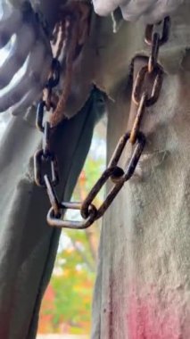 Evdeki cadılar bayramı süsleri verandada asılı duruyor. Balkabağı İskeletleri, Kemikleri ve Asılmış Adamları tanıtıyorlar. Vancouver Özel Cadılar Bayramı Kutlamaları.