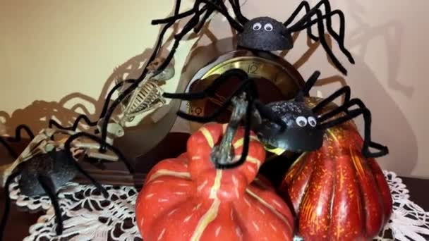 Inicio Una Película Terror Fondo Halloween Calabaza Caballo Araña Durante — Vídeos de Stock