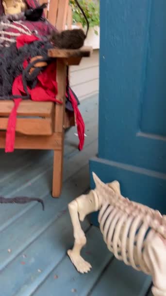 할로윈 장식들 현관에 Pumpkin Skeletines Bones Hanged Men Canada Vancouver — 비디오