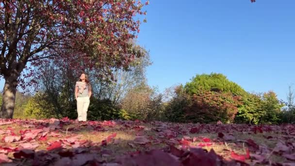 Tam Hodně Prostoru Pro Text Podzim Příroda Cestování Stanley Park — Stock video