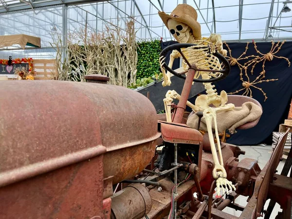 Skeleton Straw Hat Sits Wheel Tractor Spiders Background Autumn Leaves — Stock Photo, Image