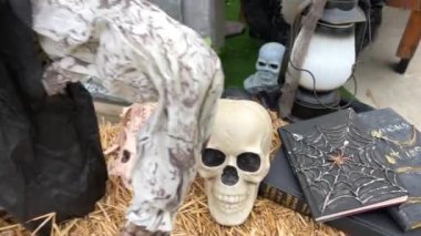 Cadılar Bayramı sonbahar tatilinin arka planında, üzerinde ağ çizilen kara kitaplar ve insan kafatasının yanında yılanlar yatar Cadılar Bayramı 'nda samanların üzerinde yatarlar. Korkaklar için değil, fenerimsi bir tatil.