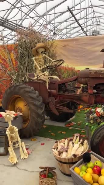 背景にトラクターの車輪の後ろに座っているわらの帽子のスケルトン秋の葉とオーバーヘッド納屋の屋根錆びた鉄トラクターハロウィーンの人間の骨に関するテキストの背景 — ストック動画