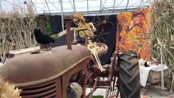 Esqueleto Chapéu Palha Senta Volante Trator Aranhas Fundo Folhas Outono — Vídeo de Stock